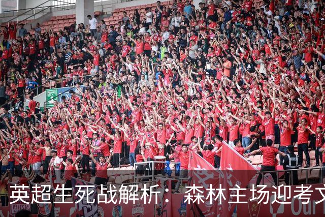 英超生死战解析：森林主场迎考文垂，积分差距下的战术博弈